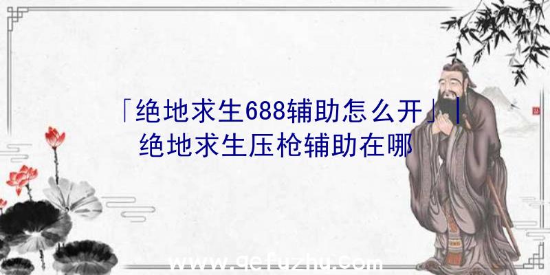 「绝地求生688辅助怎么开」|绝地求生压枪辅助在哪